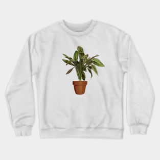 ficus Crewneck Sweatshirt